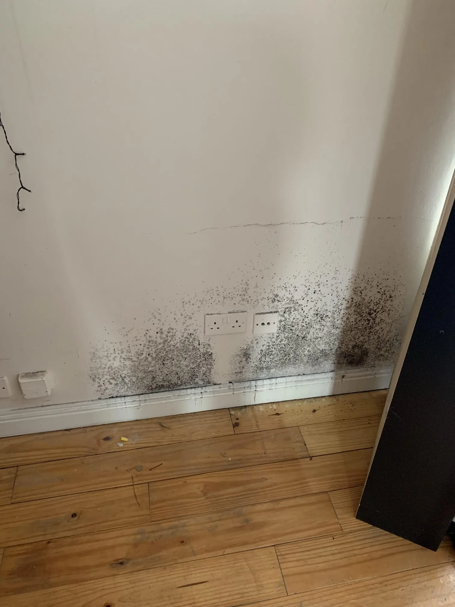 Mould growth at lower wall level in an Etobicoke home