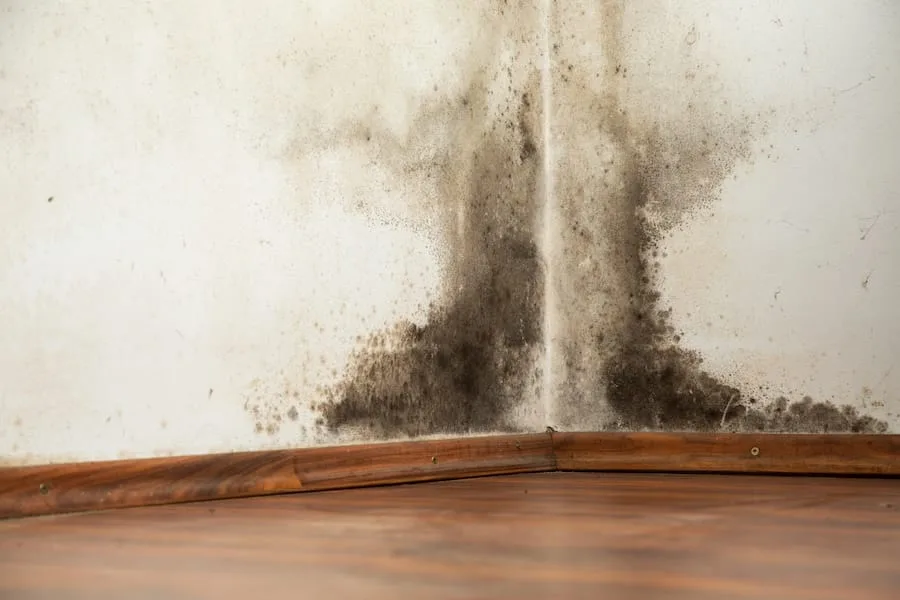Mould growth in corner of a Vaughan home wall